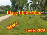 Albur Bohol - Lot for sale